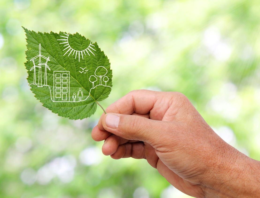 Hand holding green leaf - symbols of sustainability